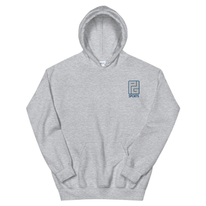 Icy Hoodie - Grey